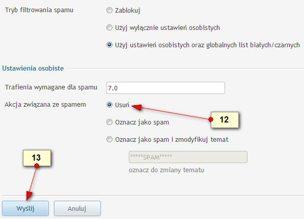 Bezpieczna strona internetowa